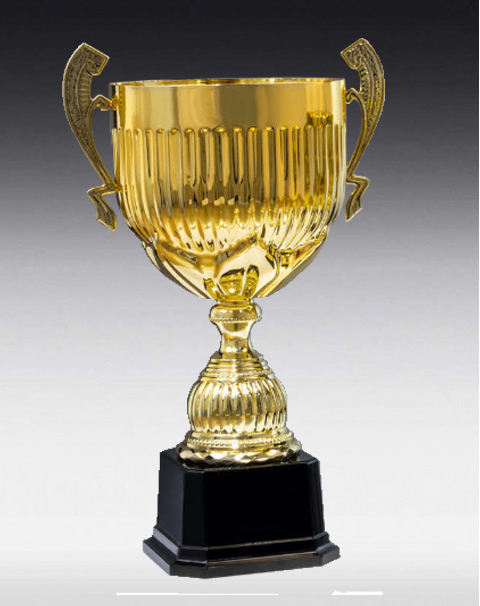 Pokal Dobrina Pokal Dobrina