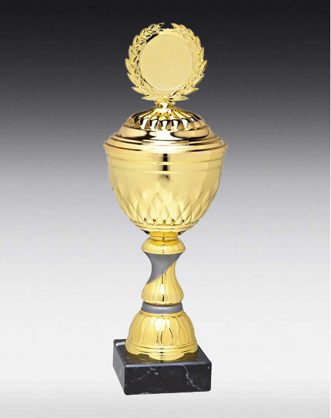 Pokal Albula Pokal Albula