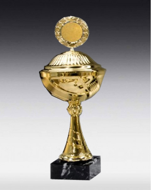 Pokal Carry Pokal Carry