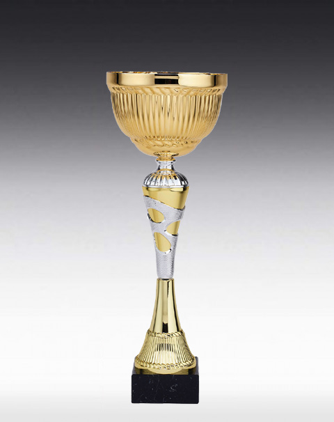 Pokal Alina Pokal Alina